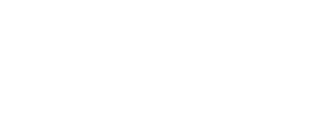 Rio Valley Charter School white logo